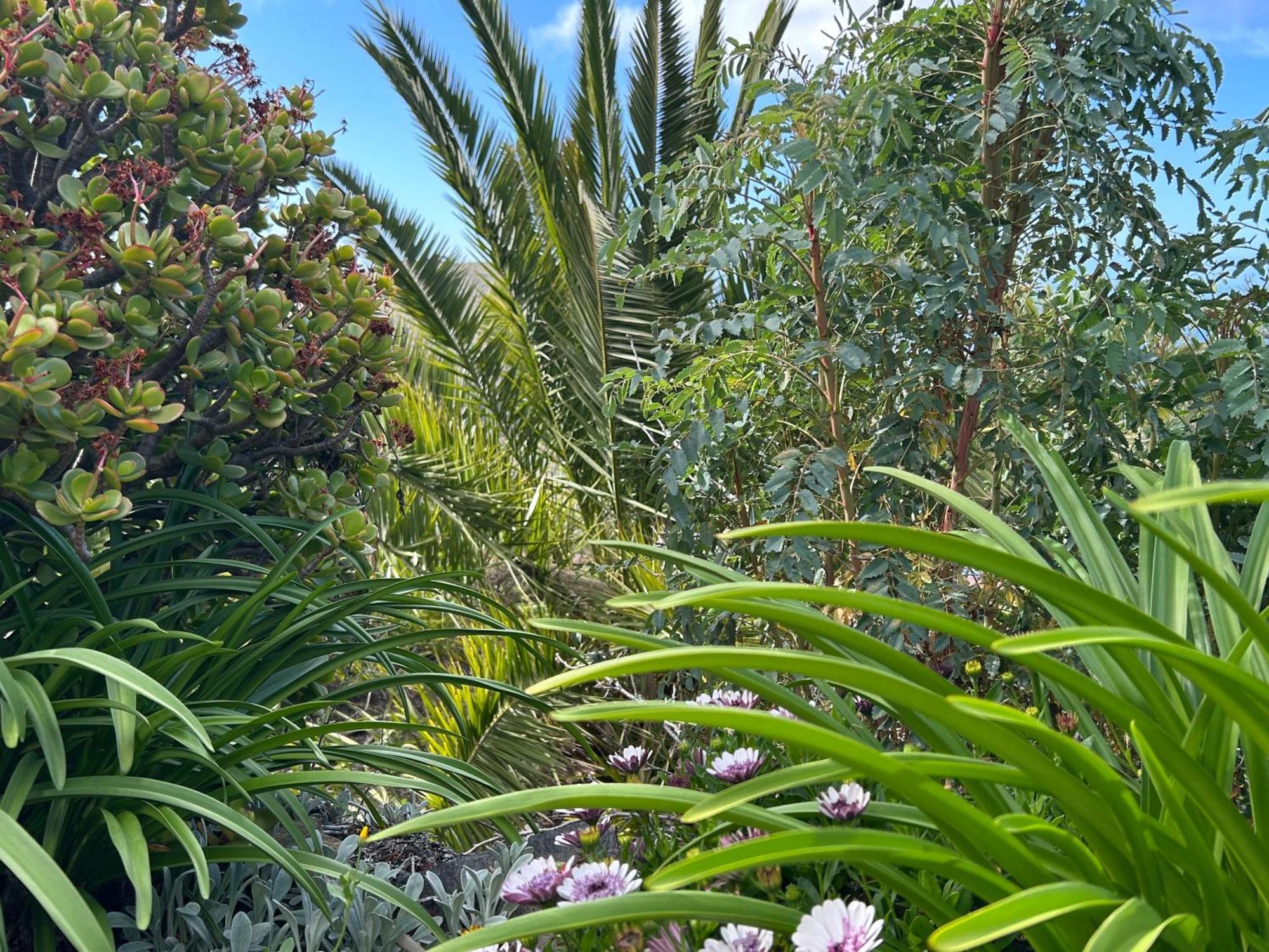 Casa Buenavida Villa Alajero Bagian luar foto